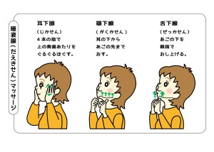 唾液腺マッサージのイラスト