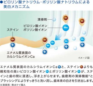 ブリリアントモア　ホワイトニング　ステイン