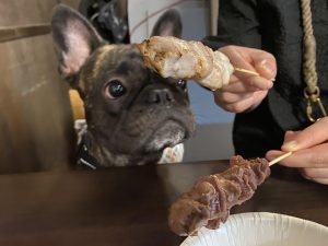 渋谷矯正歯科　コム　焼き鳥