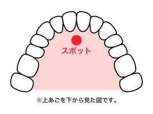 舌癖　渋谷　スポットポジション