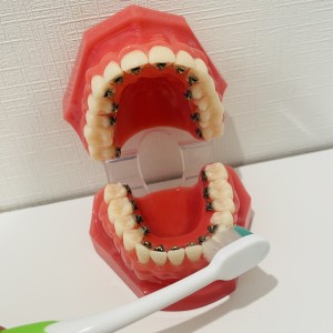 歯ブラシ　方法　歯科