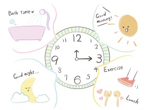 マウスピース矯正の1日