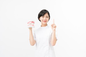 歯の模型を持って指を差している歯科衛生士のイメージ画像