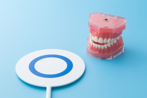 歯の模型と丸印のイメージ