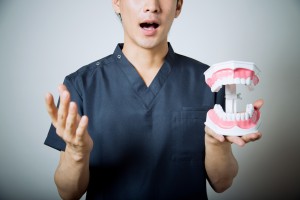 歯型の模型を手に持つ歯科医師