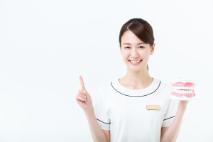 歯の模型をもつ歯科衛生士