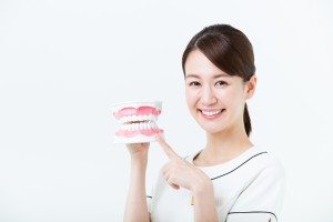 手に持っている歯の模型を指差す歯科衛生士