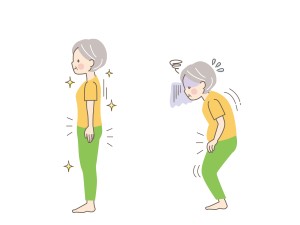 姿勢を正すシニア女性のイラスト
