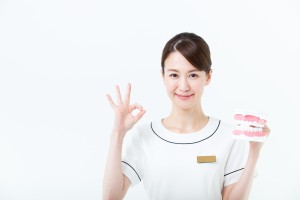 歯の模型を手に持っている矯正歯科のカウンセラー