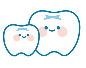 矮小歯と通常の歯のイメージイラスト