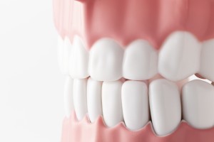 上下の歯が当たっているイメージ